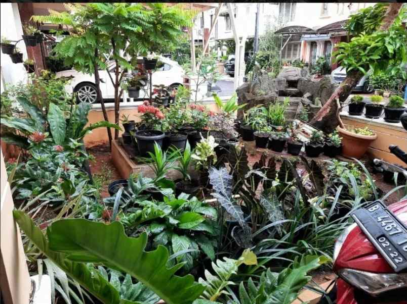 dijual rumah perumahan jatinegara baru