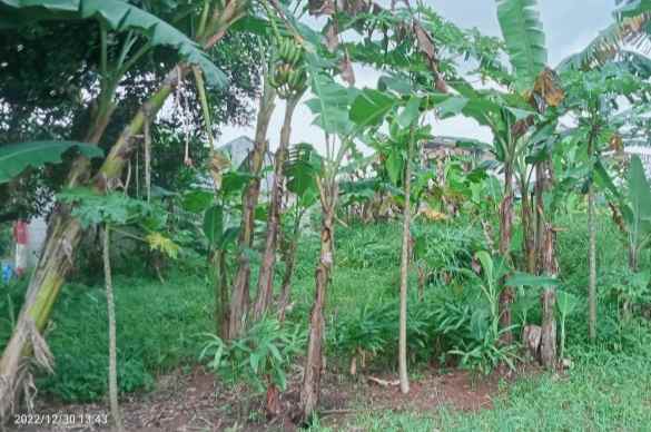 dijual tanah 2500 m2 setu bekasi