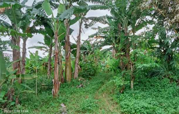 dijual tanah 2500 m2 setu bekasi