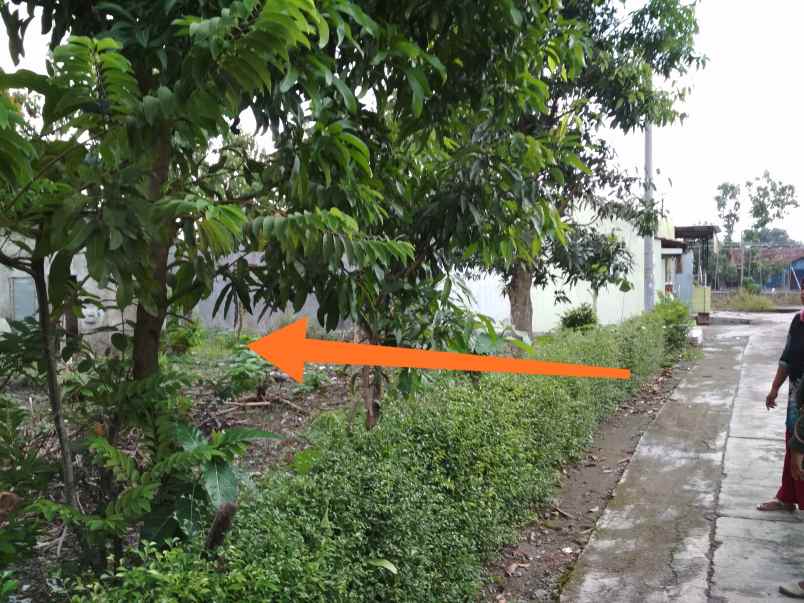 dijual tanah barong desa pendem