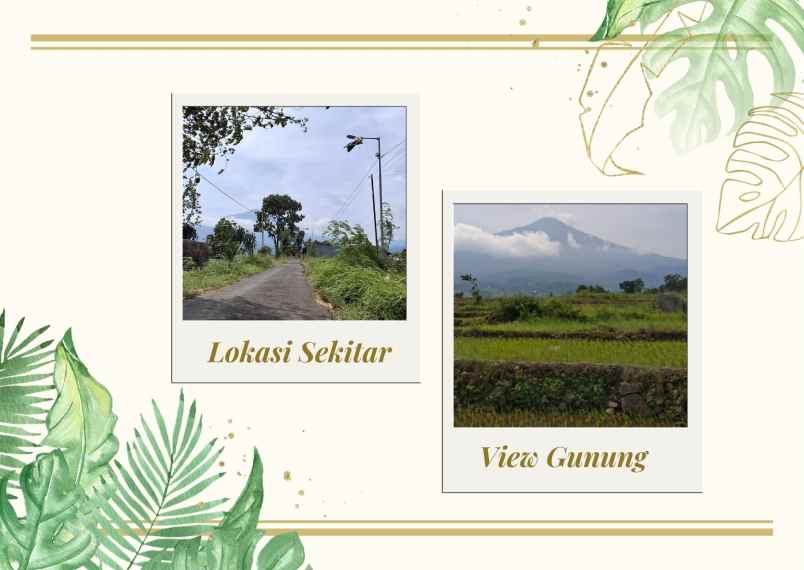 dijual tanah desa candiwatu kec pacet