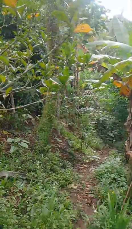 dijual tanah ds mundeh kangin kec