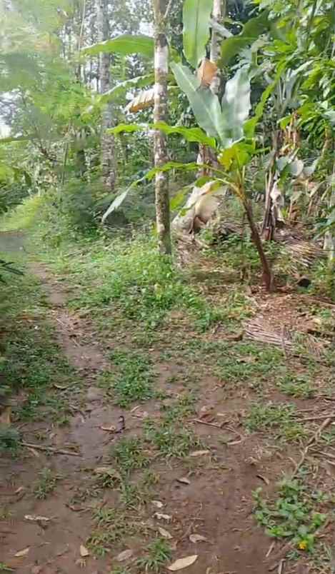 dijual tanah ds mundeh kangin kec