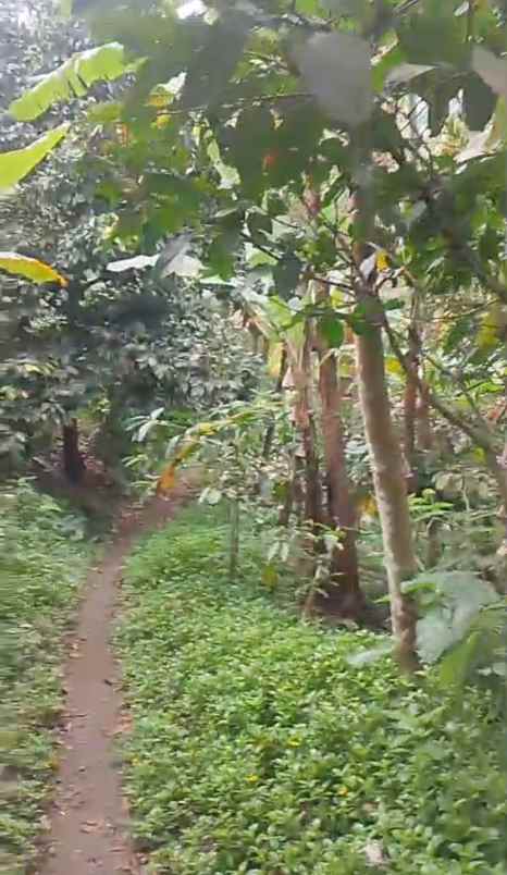 dijual tanah ds mundeh kangin kec