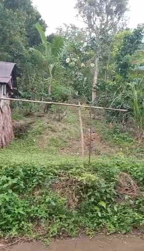 dijual tanah ds mundeh kangin kec