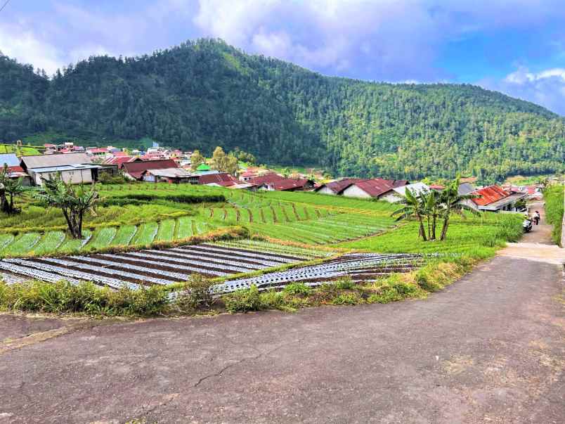 dijual tanah idaman deket wisata tawangmangu