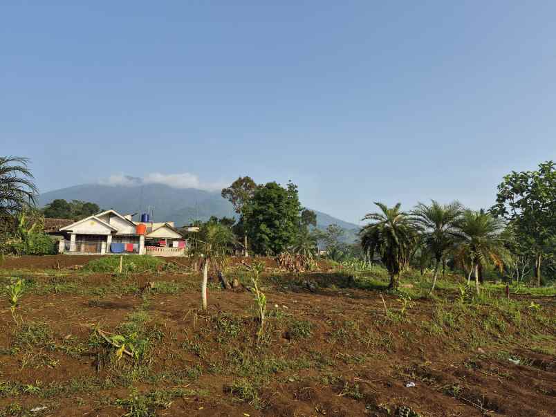 dijual tanah jalan ciburayut cigombong