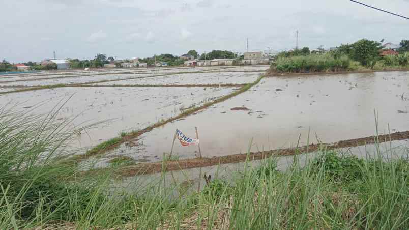 dijual tanah jalan lingkar tanjungpura