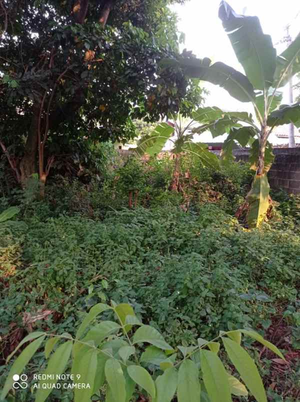 dijual tanah jalan mustika sari bekasi