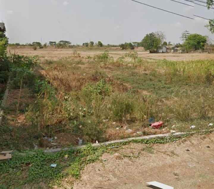 dijual tanah jalan pantura losarang