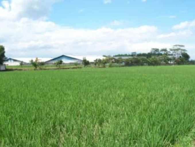 dijual tanah jl a h nasution ujung