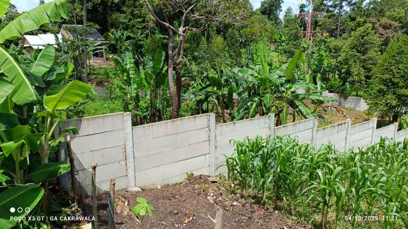 dijual tanah jl h hamil djp puncak mas