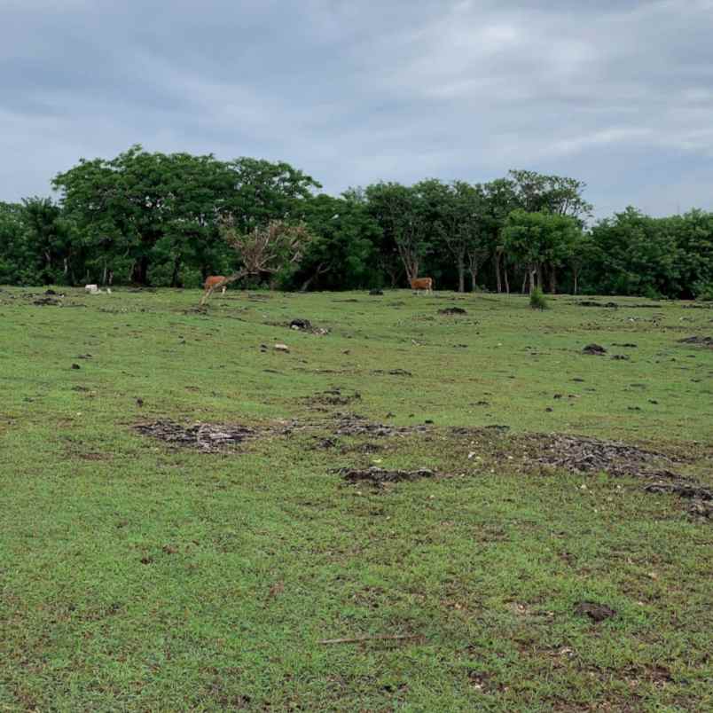 dijual tanah jl karang pandawa