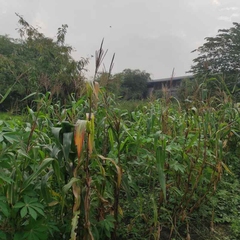 dijual tanah jl raya dayeuh kolot moch toha