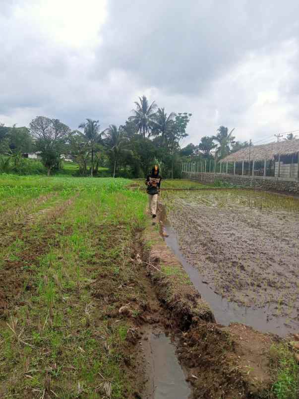 dijual tanah jl raya karangturi desa