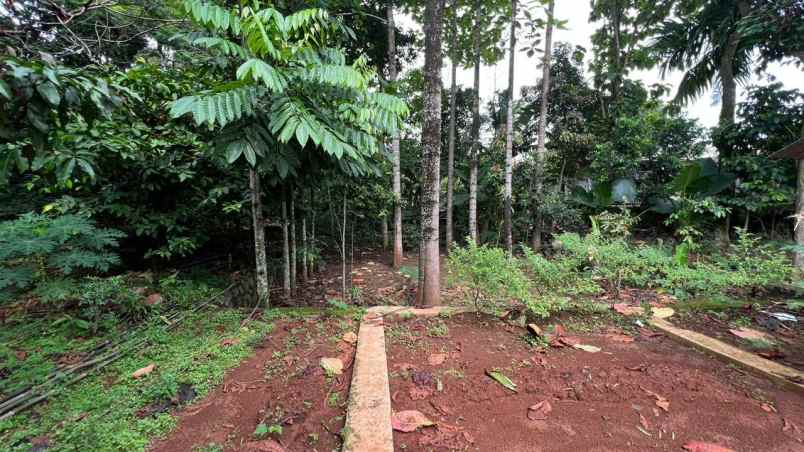 dijual tanah jl raya mohtar sawangan