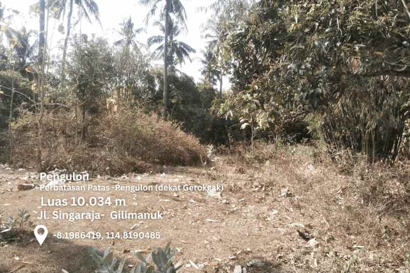 dijual tanah jl singaraja gilimanuk di