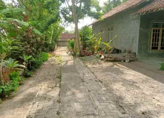 dijual tanah kasihan