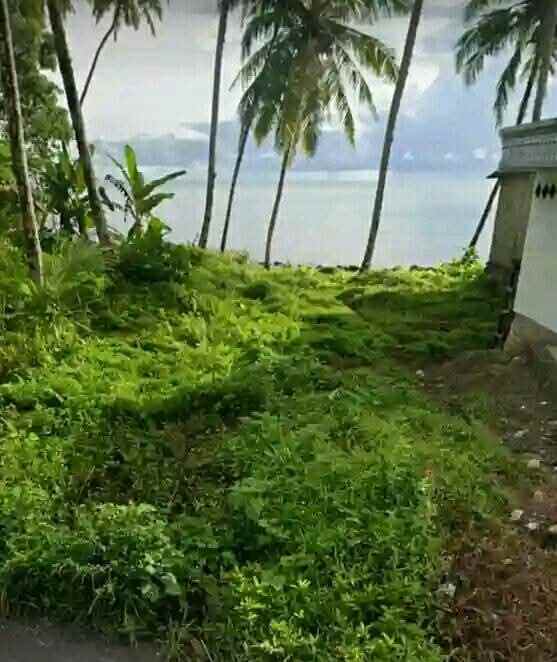 dijual tanah kavling shm