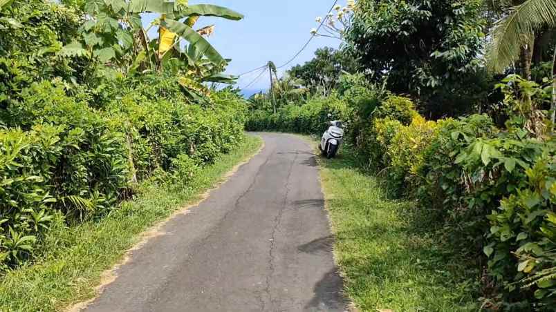 dijual tanah kawasan wisata balian