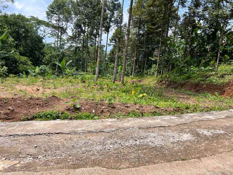 dijual tanah kebun durian dan mata air