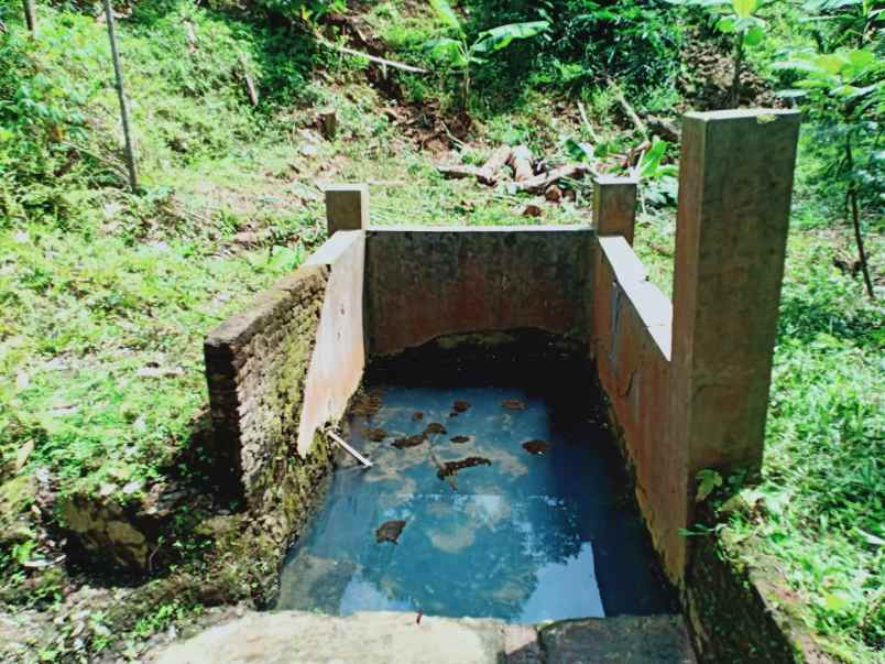dijual tanah kebun durian dan mata air
