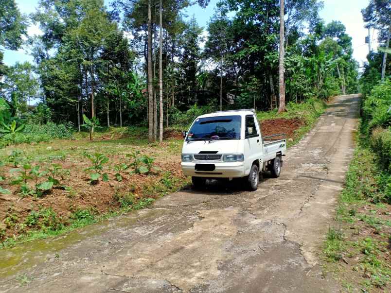 dijual tanah kebun durian dan mata air