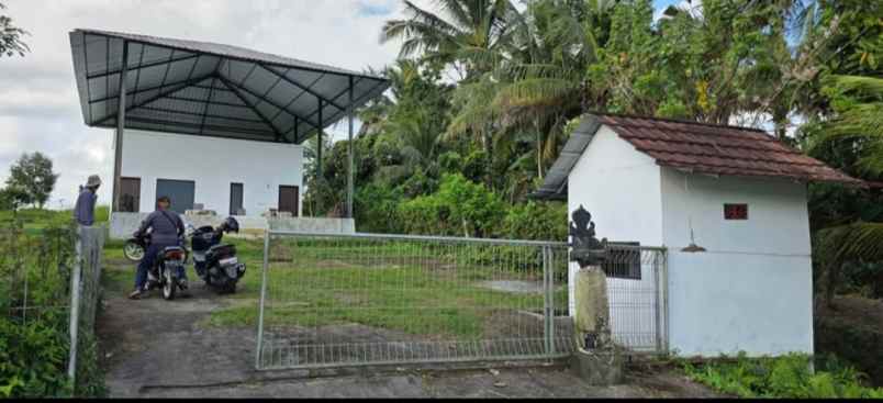 dijual tanah kebun durian murah tempat strategis