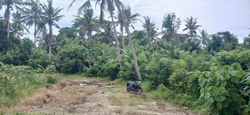 dijual tanah kerambitan tabanan bali