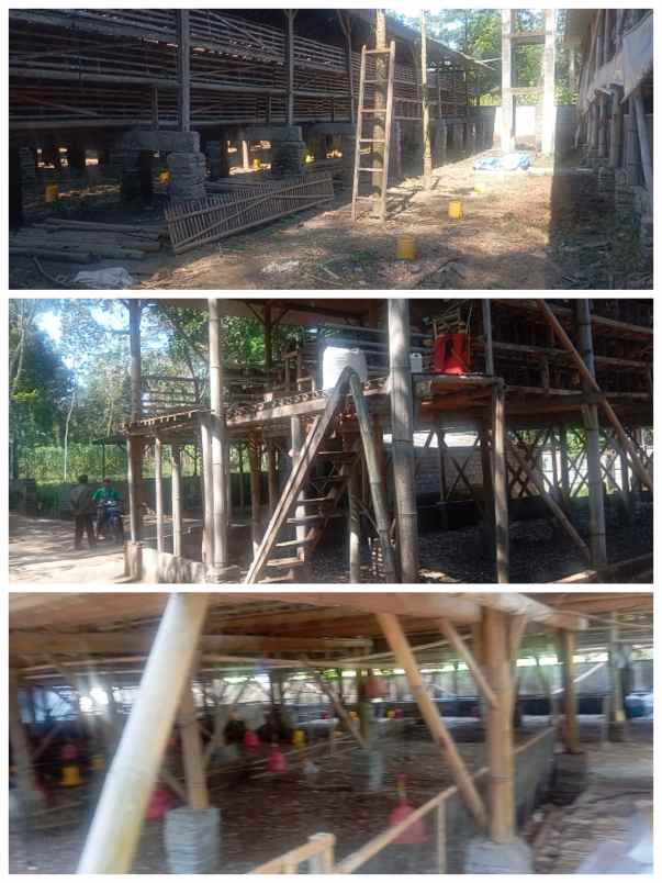 dijual tanah klaten jateng