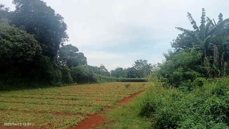 dijual tanah komersil setu bekasi