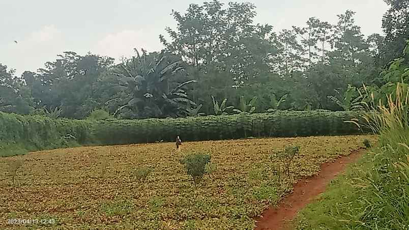 dijual tanah komersil setu bekasi