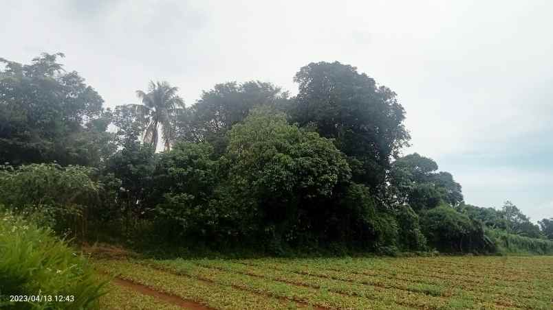 dijual tanah komersil setu bekasi