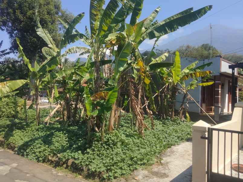 dijual tanah linggasana linggarjati