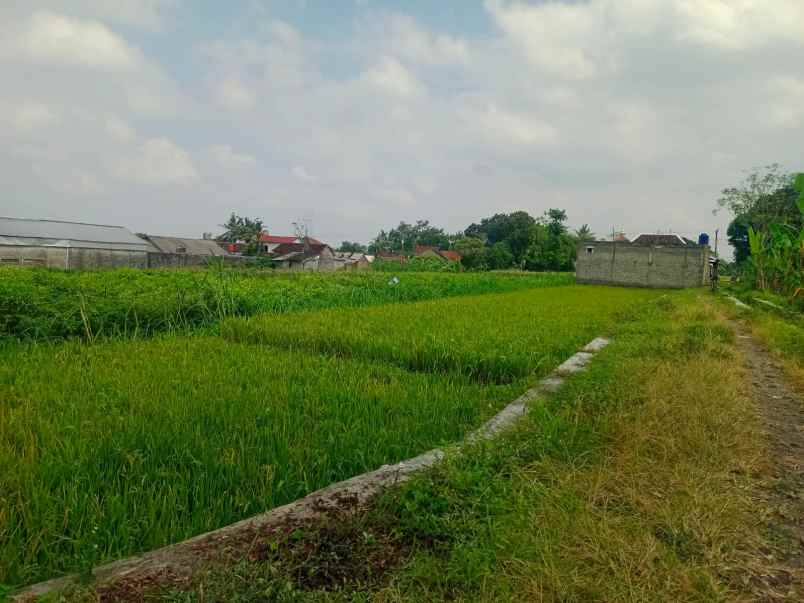 dijual tanah manisrenggo