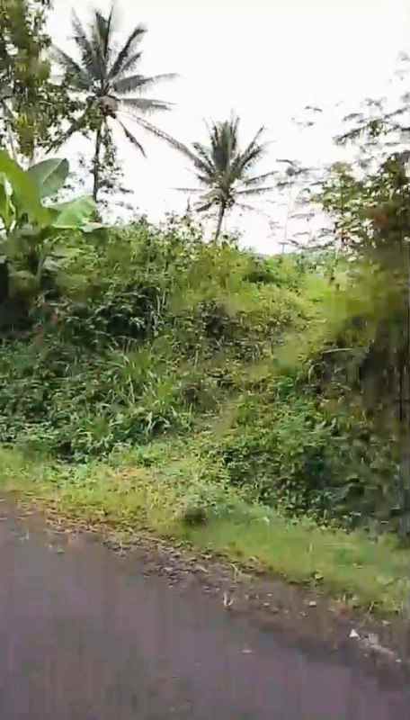 dijual tanah pakisaji malang 35 milyar