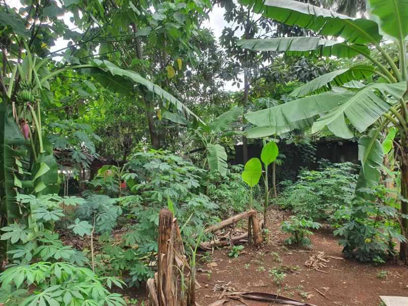 dijual tanah pancoran mas