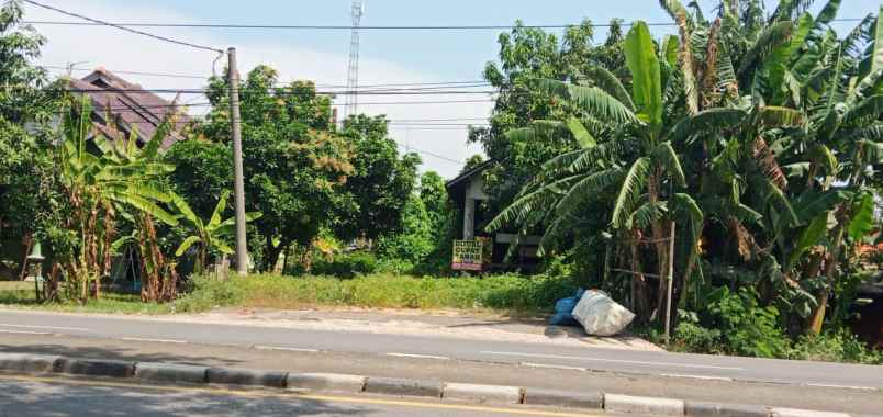 dijual tanah pangkalan losarang indramayu