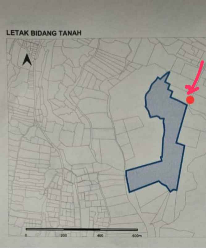 dijual tanah payangan