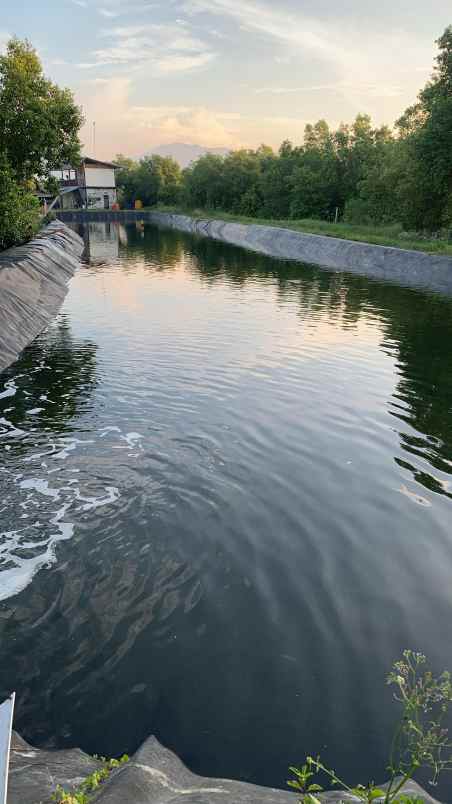 dijual tanah pengambengan negara