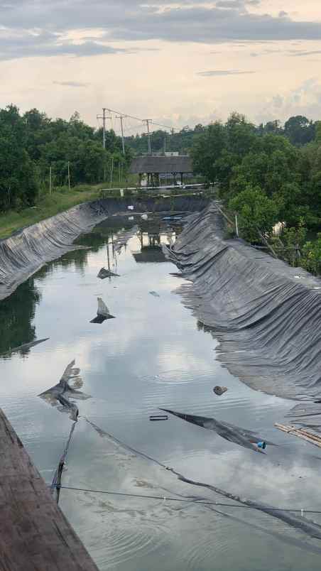 dijual tanah pengambengan negara