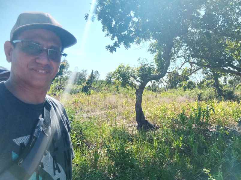 dijual tanah pinggir pantai wee wella