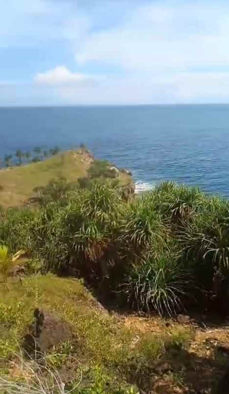 dijual tanah purwodadi tepus