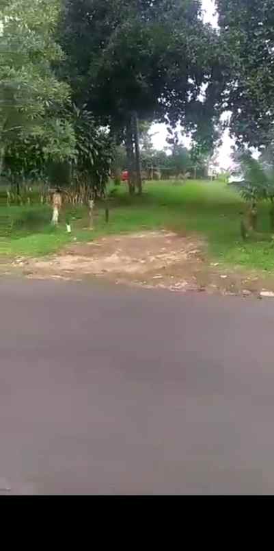 dijual tanah sagalaherang subang