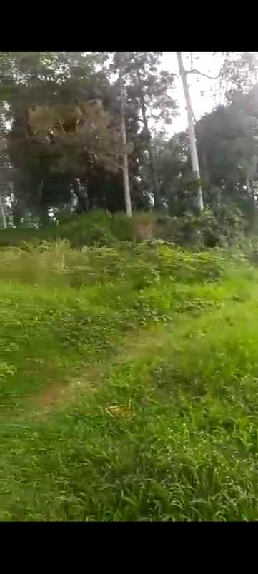 dijual tanah sagalaherang subang