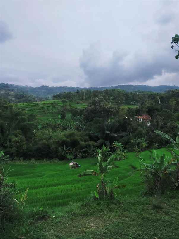 dijual tanah sindanglaya bandung