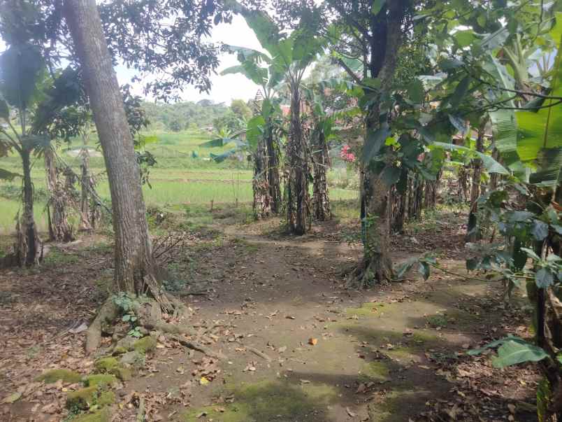 dijual tanah strategis di linggarjati kuningan