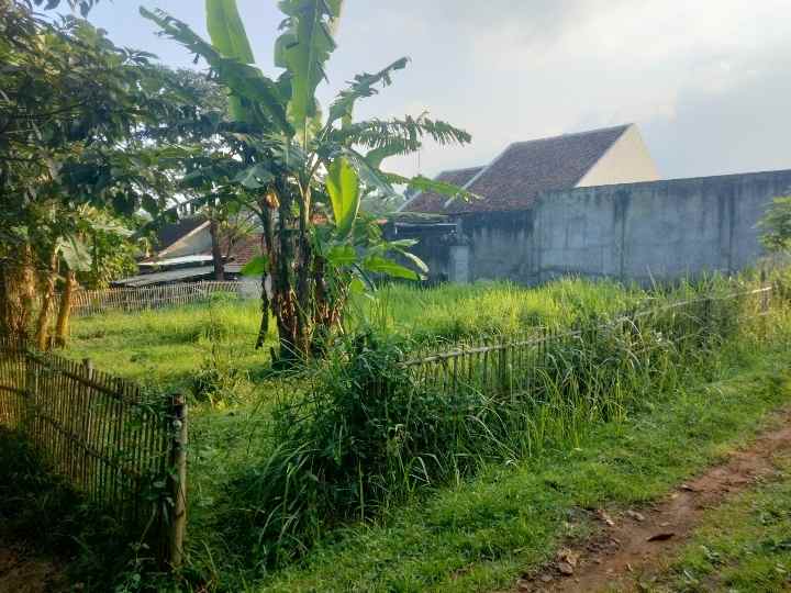 dijual tanah strategis pinggir jalan desa