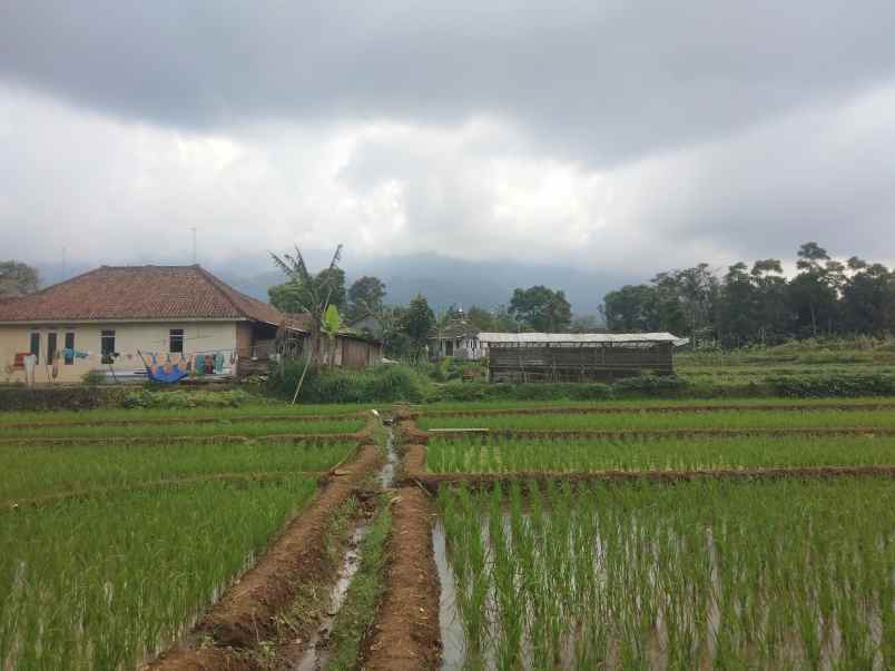 dijual tanah strategis view gunung