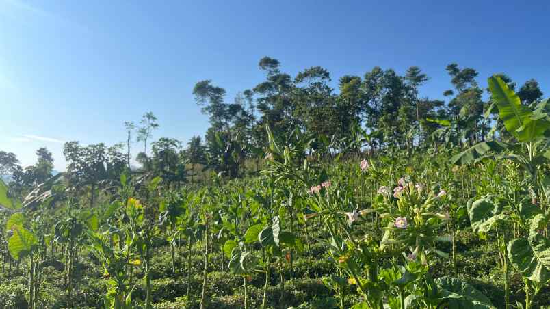 dijual tanah sumedang selatan